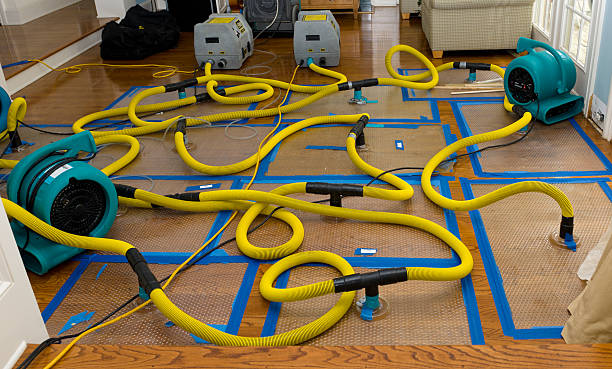 Professional Crawl Space Water Removal technician working in Marion, MS